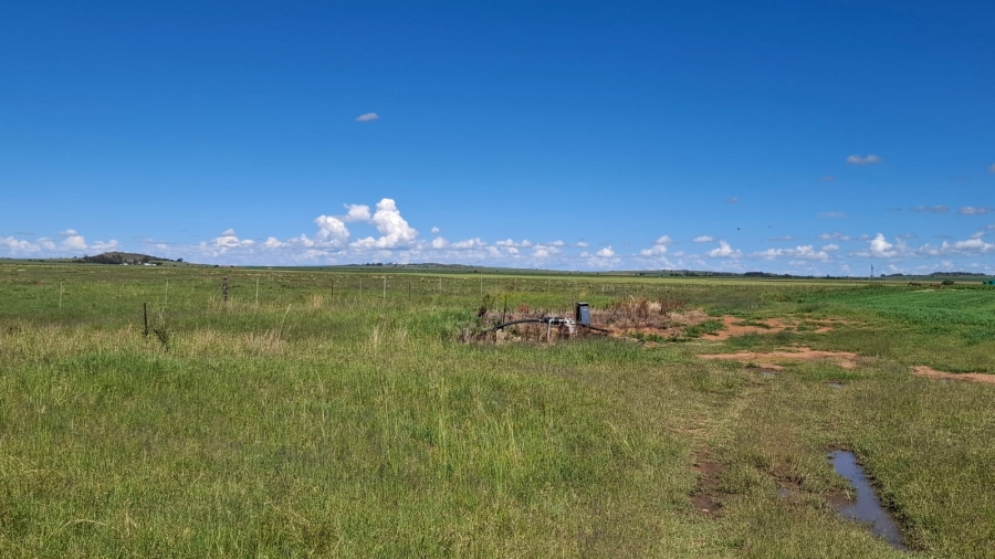  Bedroom Property for Sale in Bloemfontein Rural Free State